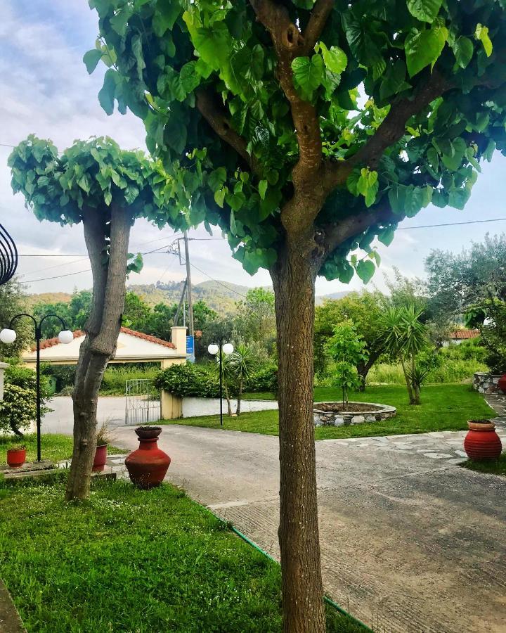Pansion Episkopi Studios Skopelos Buitenkant foto