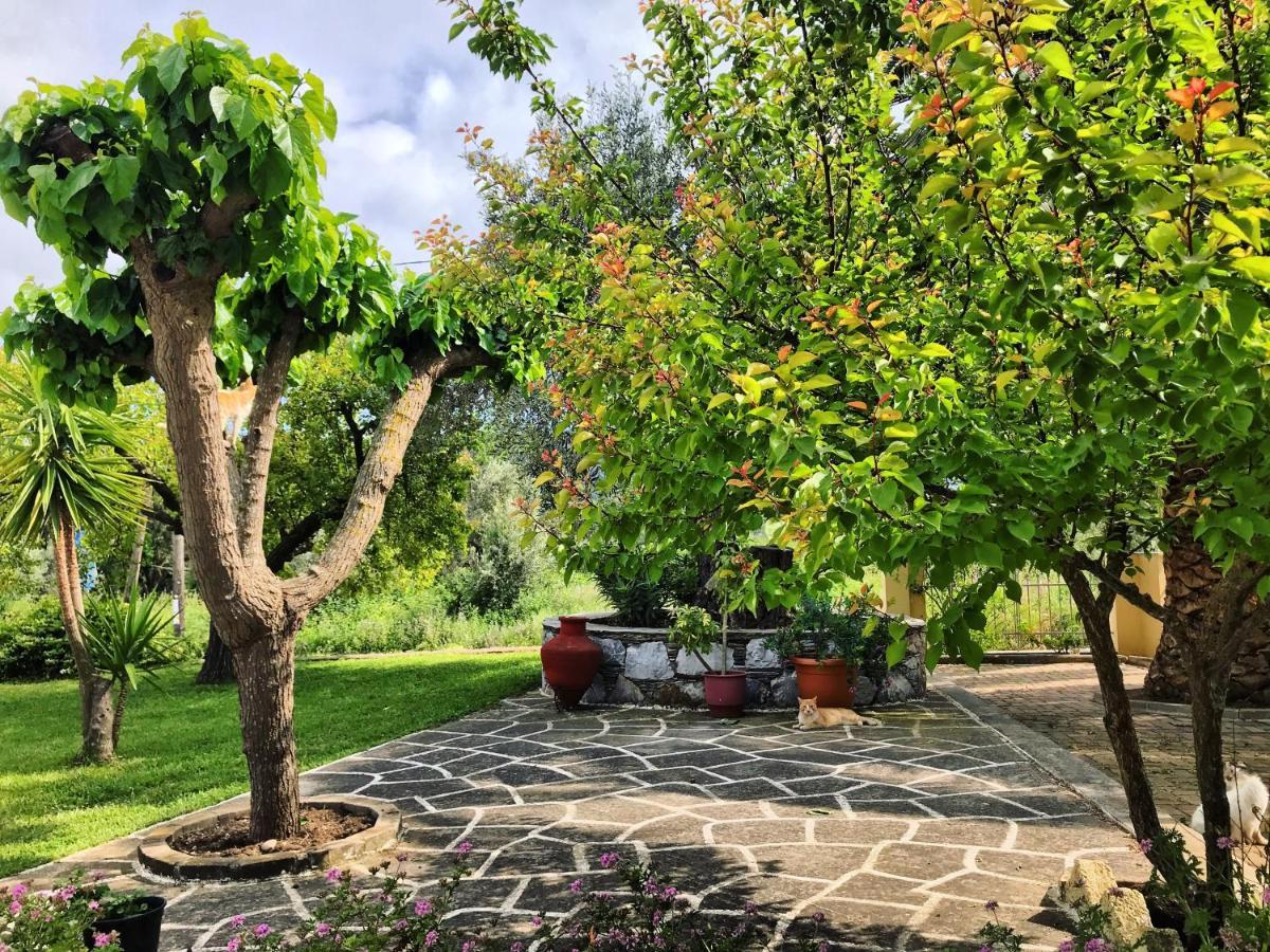 Pansion Episkopi Studios Skopelos Buitenkant foto