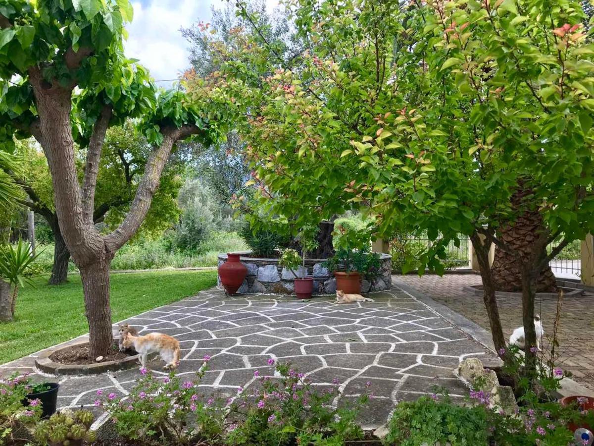 Pansion Episkopi Studios Skopelos Buitenkant foto