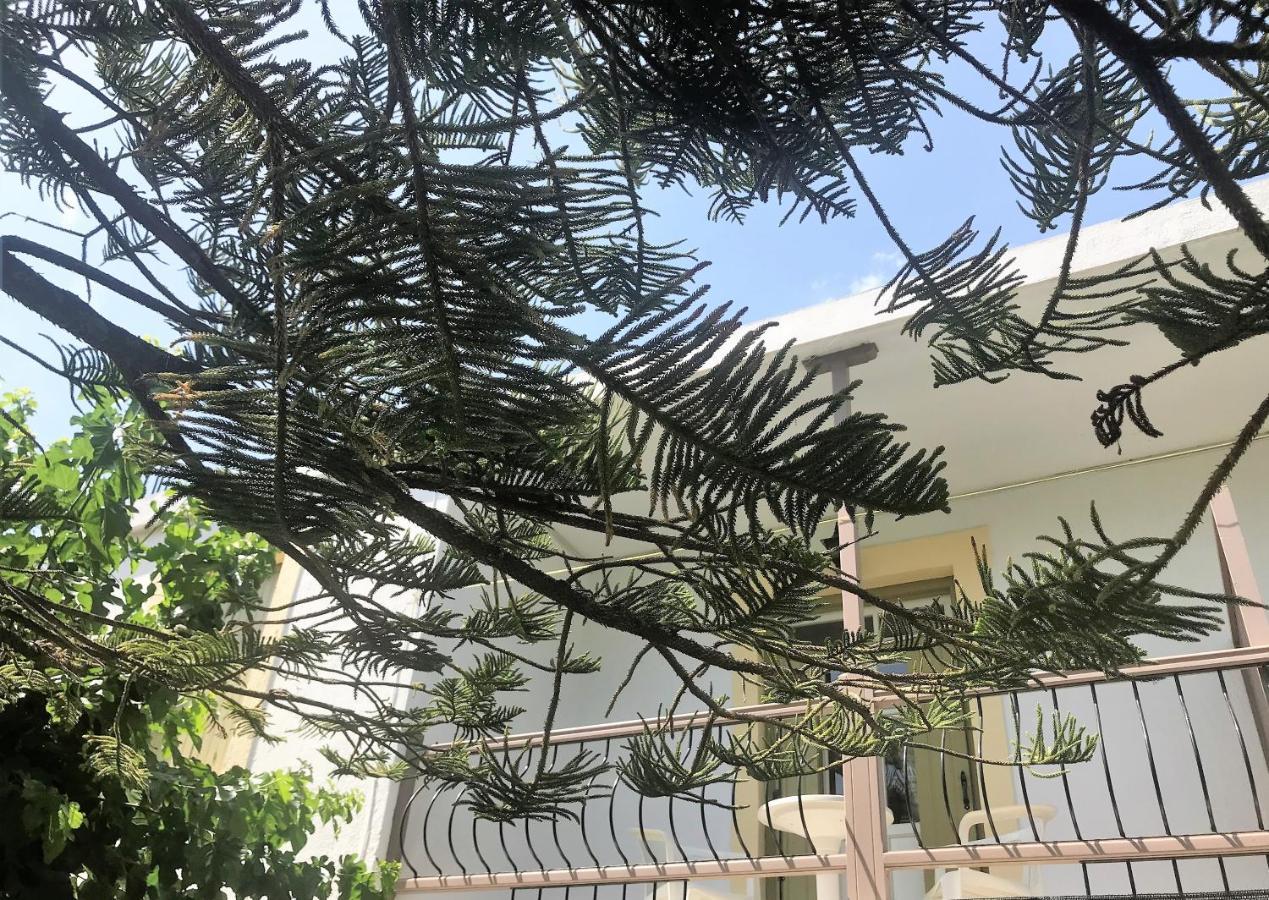 Pansion Episkopi Studios Skopelos Buitenkant foto