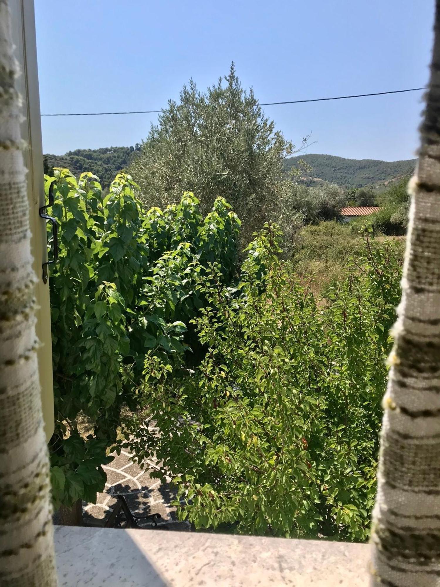 Pansion Episkopi Studios Skopelos Buitenkant foto