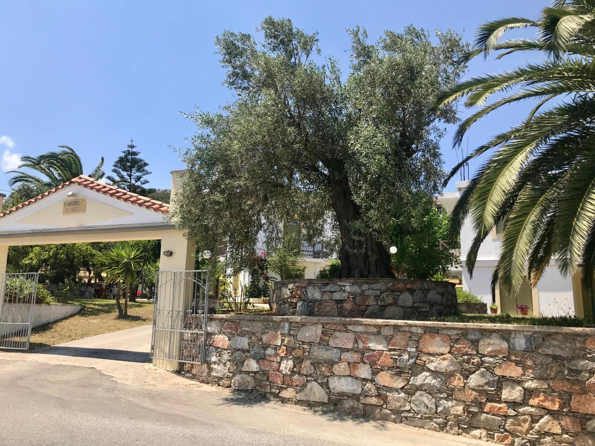 Pansion Episkopi Studios Skopelos Buitenkant foto